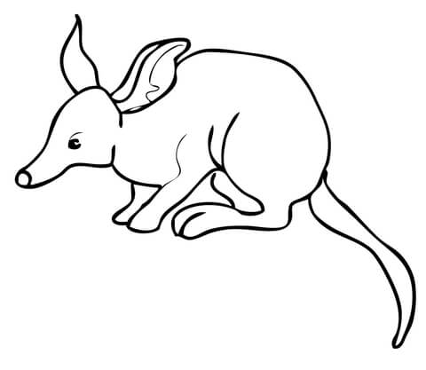 Bandicoot From Bandicoot Coloring Page